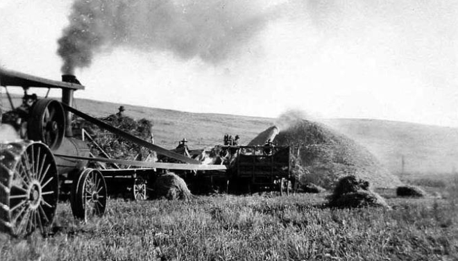 Steam tractor making forage ca 1915