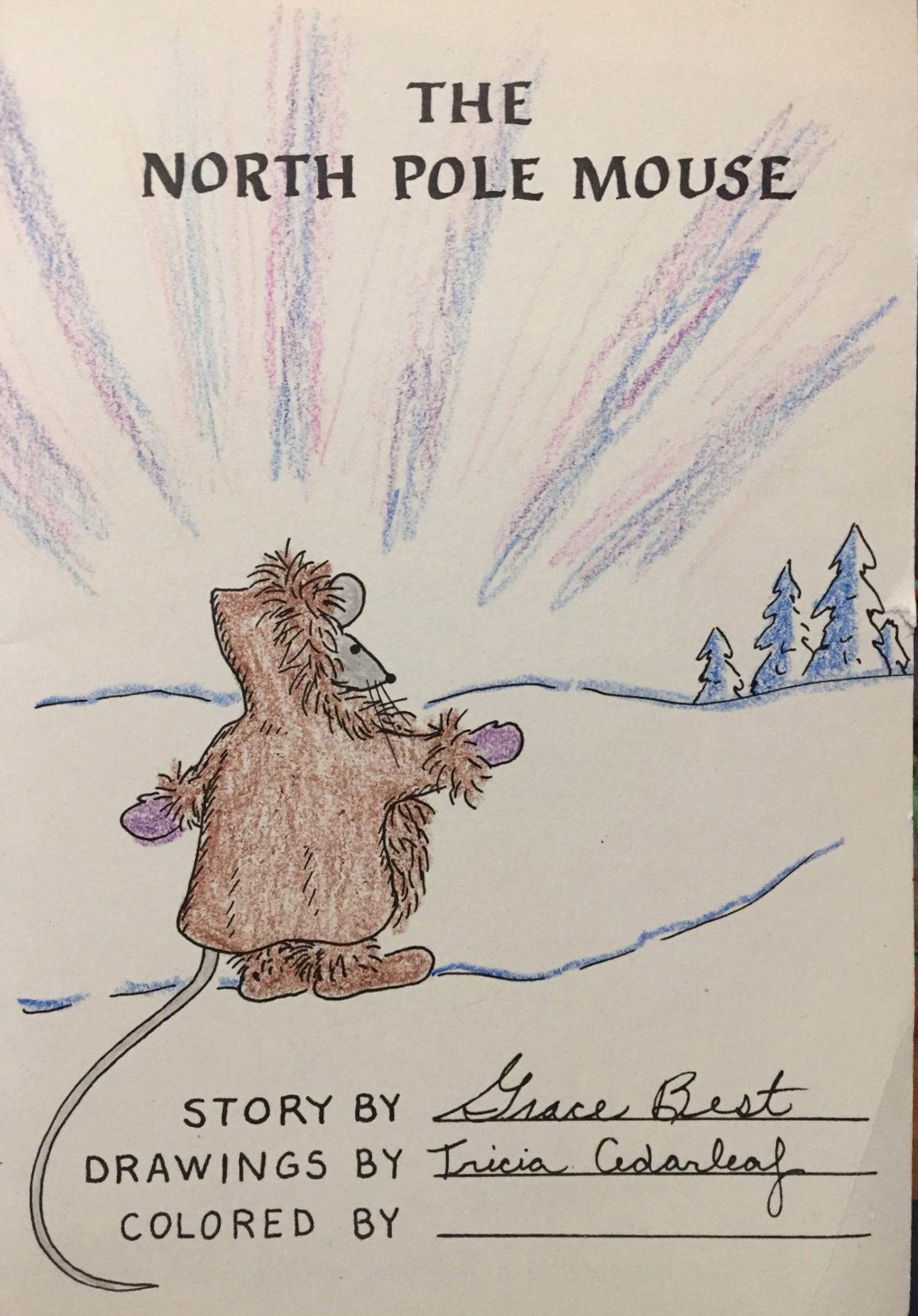 Jeremiah Mouse Adventures: The North Pole Mouse, Book 7
